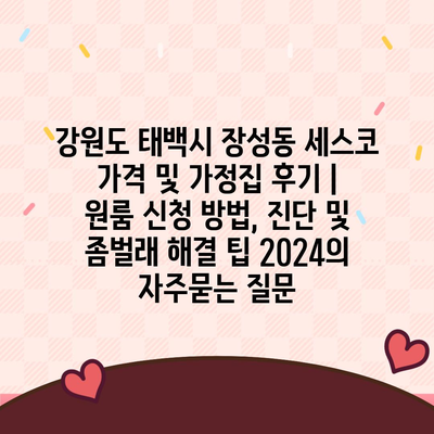 강원도 태백시 장성동 세스코 가격 및 가정집 후기 | 원룸 신청 방법, 진단 및 좀벌래 해결 팁 2024