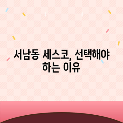 광주시 동구 서남동 세스코 서비스 가이드 | 가격, 비용, 가정집 후기, 원룸 신청 및 진단 정보 2024