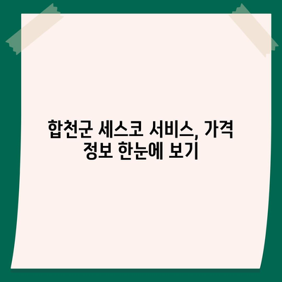 2024년 경상남도 합천군 가회면 세스코 서비스 비용 및 가정집 후기 | 가격, 신청 방법, 좀벌래 해결 | 전문가의 팁