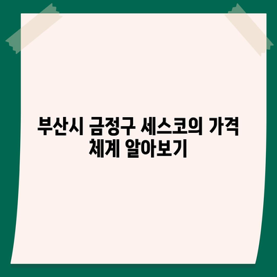 부산시 금정구 선두구동 세스코 가격 및 서비스 안내 | 비용, 신청방법, 가정집 후기, 좀벌래 해결법 2024