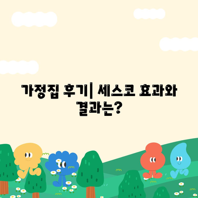 인천시 강화군 양사면 세스코 가격 및 가정집 후기 분석 | 비용, 신청, 가입, 집 좀벌래 진단 2024"