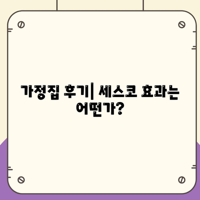 경상북도 영주시 순흥면 세스코 가격 및 서비스 신청 방법 | 비용, 가정집 후기, 좀벌래 해결책 2024