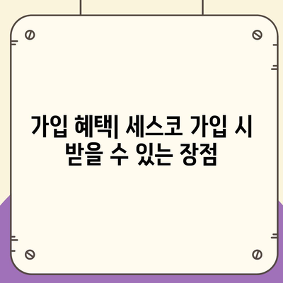 제주도 제주시 애월읍 세스코 가격 및 가정집 후기 | 비용, 신청, 좀벌래 진단과 가입 방법 2024