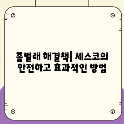 대전시 대덕구 법1동 세스코 가격과 후기 | 가정집, 원룸 신청 방법, 비용 및 좀벌래 해결책 2024