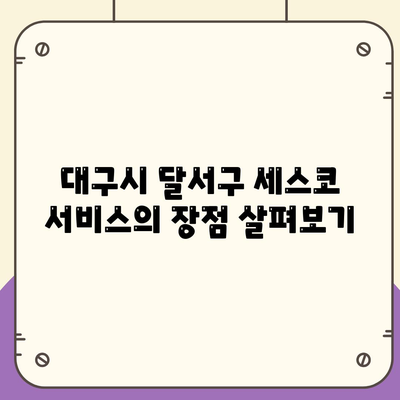 대구시 달서구 상인1동 세스코 가격과 서비스 | 가정집 후기, 원룸 신청 방법, 좀벌래 예방 2024