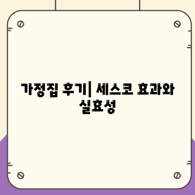 대구시 달성군 화원읍 세스코 가격 및 서비스 가이드 | 가정집 후기, 원룸 신청 방법, 좀벌래 진단 2024