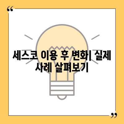 부산시 동구 좌천1동 세스코 가격 및 비용 안내 | 가정집 후기, 원룸 신청 방법, 좀벌래 해결 팁 2024