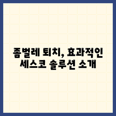 대구시 수성구 상동 세스코 서비스 가격과 후기 완벽 가이드 | 비용, 신청, 진단, 집, 가정집, 좀벌래, 2024