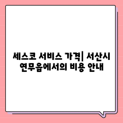 충청남도 서산시 연무읍 세스코 가격 가이드 | 비용, 가정집 후기, 원룸 신청 및 좀벌래 진단 팁 2024