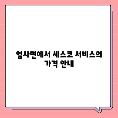 충청남도 계룡시 엄사면 세스코 가격 및 비용 안내 | 가정집 후기, 원룸 신청 방법, 진단 및 좀벌래 해결 tips 2024