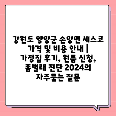 강원도 양양군 손양면 세스코 가격 및 비용 안내 | 가정집 후기, 원룸 신청, 좀벌래 진단 2024