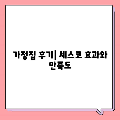 광주시 광산구 신가동 세스코 가격 및 서비스 가이드 | 비용, 가정집 후기, 원룸 신청, 좀벌래 해결책 2024"