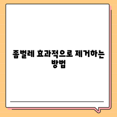 충청남도 공주시 옥룡동 세스코 비용 및 가정집 후기 2024 | 가격 비교, 신청 방법, 원룸 관리, 좀벌레 해결 팁