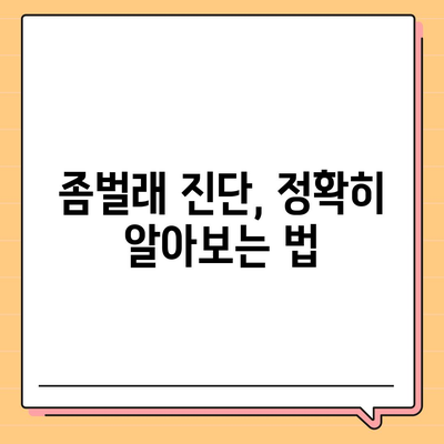 서울시 동작구 신대방제1동 세스코 가격 및 후기 2024 | 비용, 가정집 신청 방법, 좀벌래 진단, 원룸 가이드"