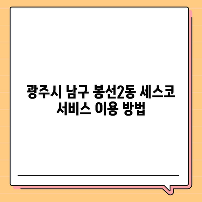 광주시 남구 봉선2동 세스코 가격 및 비용 안내 | 가정집 후기, 원룸 신청 방법, 좀벌래 진단 2024