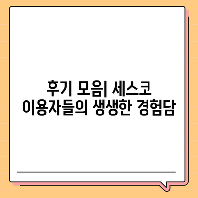 전라북도 부안군 변산면 세스코 가격 및 후기정리 | 비용, 가정집 신청방법, 좀벌래 해결책 2024