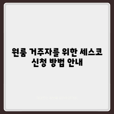 서울시 금천구 독산제4동 세스코 가격 및 효과적인 신청 방법 | 가정집 후기, 원룸, 좀벌래 문제 해결 2024