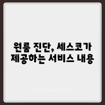 제주도 제주시 애월읍 세스코 가격 및 가정집 후기 안내 | 비용, 신청 방법, 원룸 진단, 좀벌래 해결책 2024