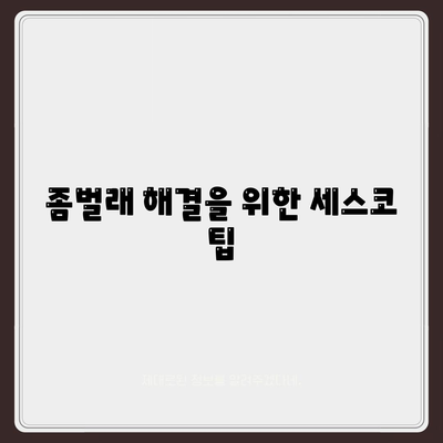 전라남도 함평군 엄다면 세스코 가격 및 가정집 후기 | 비용, 신청 방법, 원룸 진단, 좀벌래 해결 팁 2024