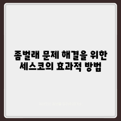 전라북도 임실군 신덕면 세스코 가격 및 가정집 후기 | 비용, 신청, 가입, 진단, 좀벌래 해결책 2024