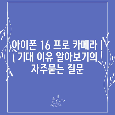 아이폰 16 프로 카메라 | 기대 이유 알아보기