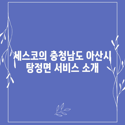 충청남도 아산시 탕정면 세스코 가격 및 서비스 후기 | 비용, 가정집 신청 방법, 좀벌래 해결책 2024