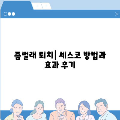 인천시 남동구 간석1동 세스코 가격 및 가정집 후기 | 비용, 신청방법, 좀벌래 해결책 2024