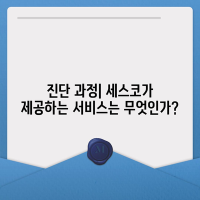 대구시 군위군 우보면 세스코 가격과 가정집 후기, 신청 방법 총정리 | 비용, 원룸, 진단, 좀벌래 2024