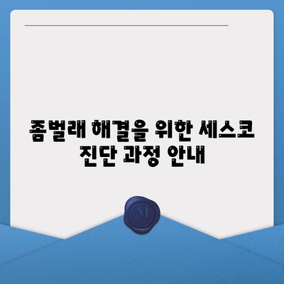 경상북도 영주시 휴천1동 세스코 가격 및 비용 | 가정집 후기, 원룸 신청 방법, 진단과 좀벌래 해결책 2024" | 세스코, 영주, 해충 방제, 가정용 서비스