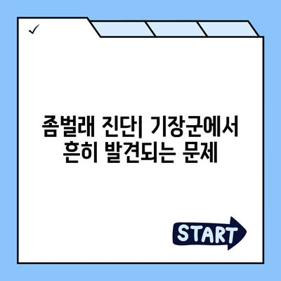 부산시 기장군 기장읍 세스코 가격 및 가정집 후기 총정리 | 원룸 신청 방법, 좀벌래 진단 및 해결책 2024