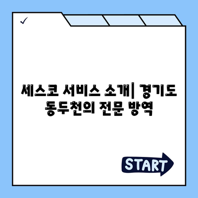 경기도 동두천시 불현동 세스코 가격 및 가입 방법 | 비용, 가정집 후기, 좀벌래 해결책 2024