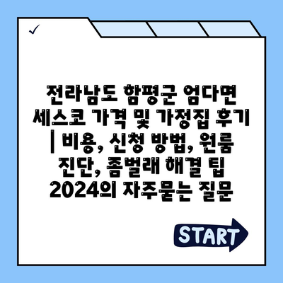 전라남도 함평군 엄다면 세스코 가격 및 가정집 후기 | 비용, 신청 방법, 원룸 진단, 좀벌래 해결 팁 2024