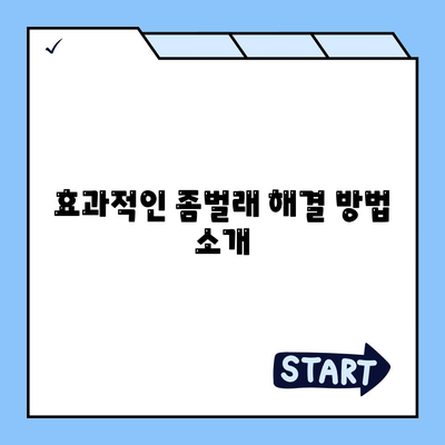 대전시 서구 월평1동 세스코 가격 및 가정집 후기 완벽 가이드 | 비용, 신청, 집 진단, 좀벌래 해결방법 2024