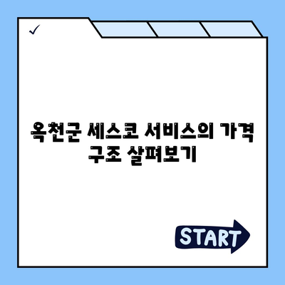 충청북도 옥천군 청산면 세스코 가격 및 비용 가이드 | 가정집 후기, 원룸 신청, 좀벌래 진단 2024"