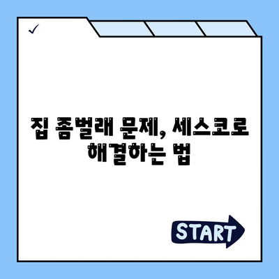 경상남도 밀양시 삼문동 세스코 가격 & 가정집 후기 | 비용, 신청, 가입 방법, 집 좀벌래 해결책 2024"