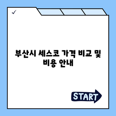 부산시 서구 부민동 세스코 가격과 서비스 | 가정집 후기, 원룸 신청 방법, 비용, 진단 팁 2024