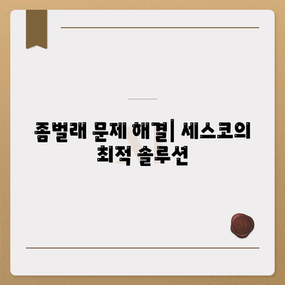 강원도 화천군 사내면 세스코 가격 및 비용 안내 | 가정집 후기, 원룸 신청 방법, 진단 팁, 좀벌래 해결책 2024