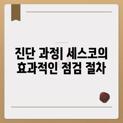 경상남도 산청군 신안면 세스코 가격 및 가정집 후기 | 비용, 원룸 신청, 진단, 좀벌래 해결책 2024"