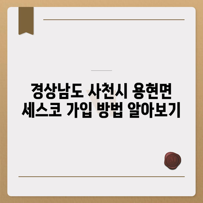 경상남도 사천시 용현면 세스코 가격 및 가입 방법 완벽 가이드 | 비용, 가정집 후기, 원룸, 진단, 좀벌래 해결책 2024"