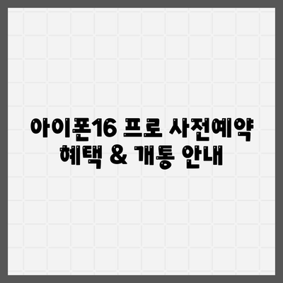 부산시 중구 부평동 아이폰16 프로 사전예약 | 출시일 | 가격 | PRO | SE1 | 디자인 | 프로맥스 | 색상 | 미니 | 개통