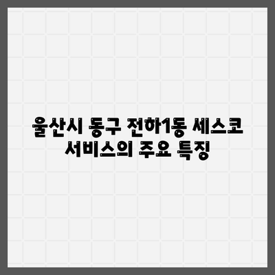 울산시 동구 전하1동 세스코 가격과 서비스 이용 가이드 | 비용, 후기, 신청 방법, 좀벌래 해결책 2024"