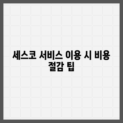 충청북도 괴산군 문광면 세스코 가격과 후기 | 비용, 신청 방법, 가정집 및 원룸 진단 | 2024년 좀벌래 해결책!