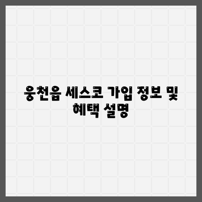 충청남도 보령시 웅천읍 세스코 가격 및 가정집 후기 | 좀벌래 제거 방법, 신청 절차, 가입 정보 총정리 2024