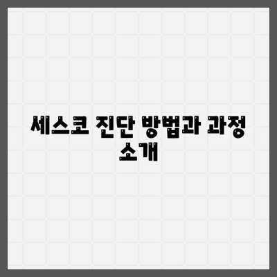 함양읍 세스코 가격 및 비용 가이드 | 가정집 후기, 원룸 신청, 진단 방법, 좀벌래 해결 2024