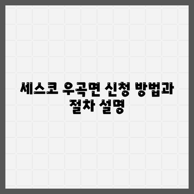 세스코 우곡면 2024 가격 및 후기 총정리 | 고령군, 가정집, 원룸, 좀벌래 해결, 신청 방법