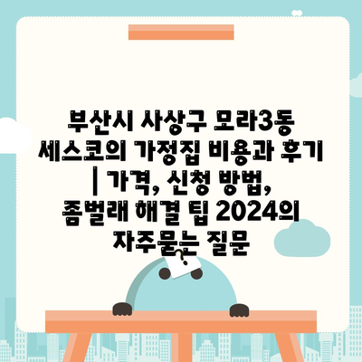 부산시 사상구 모라3동 세스코의 가정집 비용과 후기 | 가격, 신청 방법, 좀벌래 해결 팁 2024