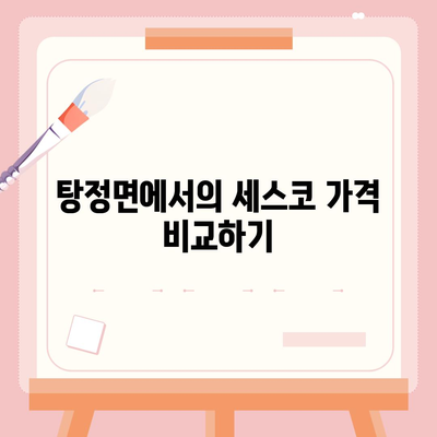 충청남도 아산시 탕정면 세스코 가격 및 서비스 후기 | 비용, 가정집 신청 방법, 좀벌래 해결책 2024