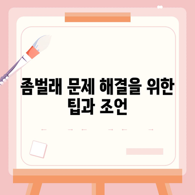 강원도 고성군 간성읍 세스코 가격, 비용, 가정집 후기 총정리 | 원룸 신청, 가입, 진단, 좀벌래 해결 방법 2024