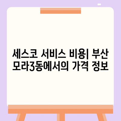 부산시 사상구 모라3동 세스코 서비스 비용 및 후기 총정리 | 가격, 가정집 신청, 좀벌래 진단, 원룸 해결책 2024