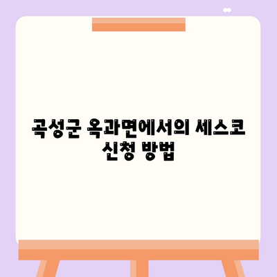 전라남도 곡성군 옥과면 세스코 가격 및 신청 방법 가이드 | 가정집 후기, 비용, 원룸 진단, 집, 좀벌래 해결책 2024